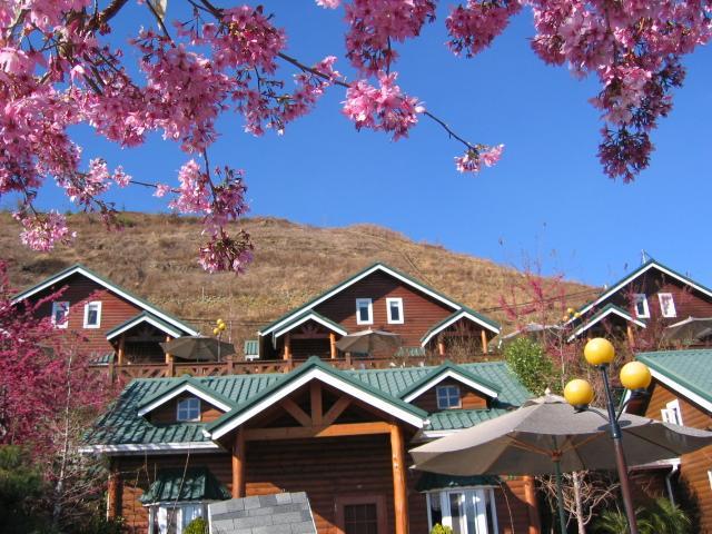 清境豐田桂林山莊民宿 Renai Extérieur photo